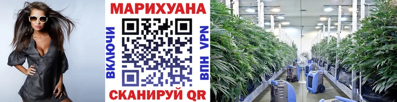 omg ссылки  купить наркотики цена  Болхов  Канабис Ganja 